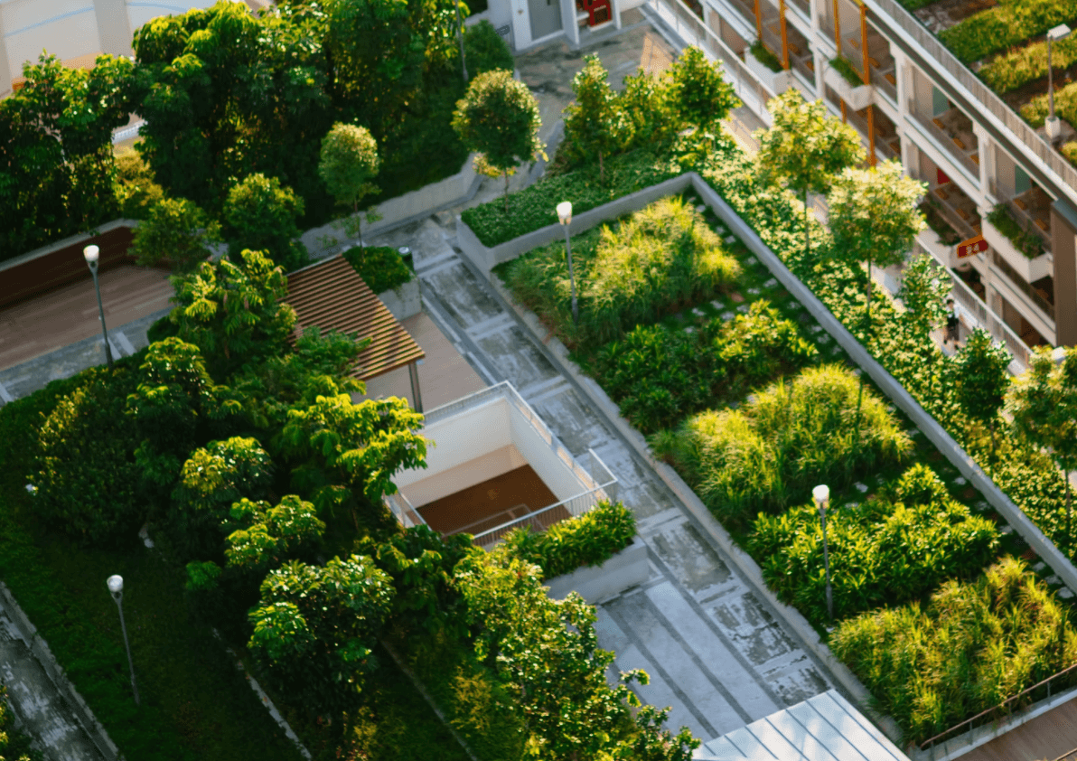 Climate Resilience and Well-Being through Neighbourhood-Scale Green Design