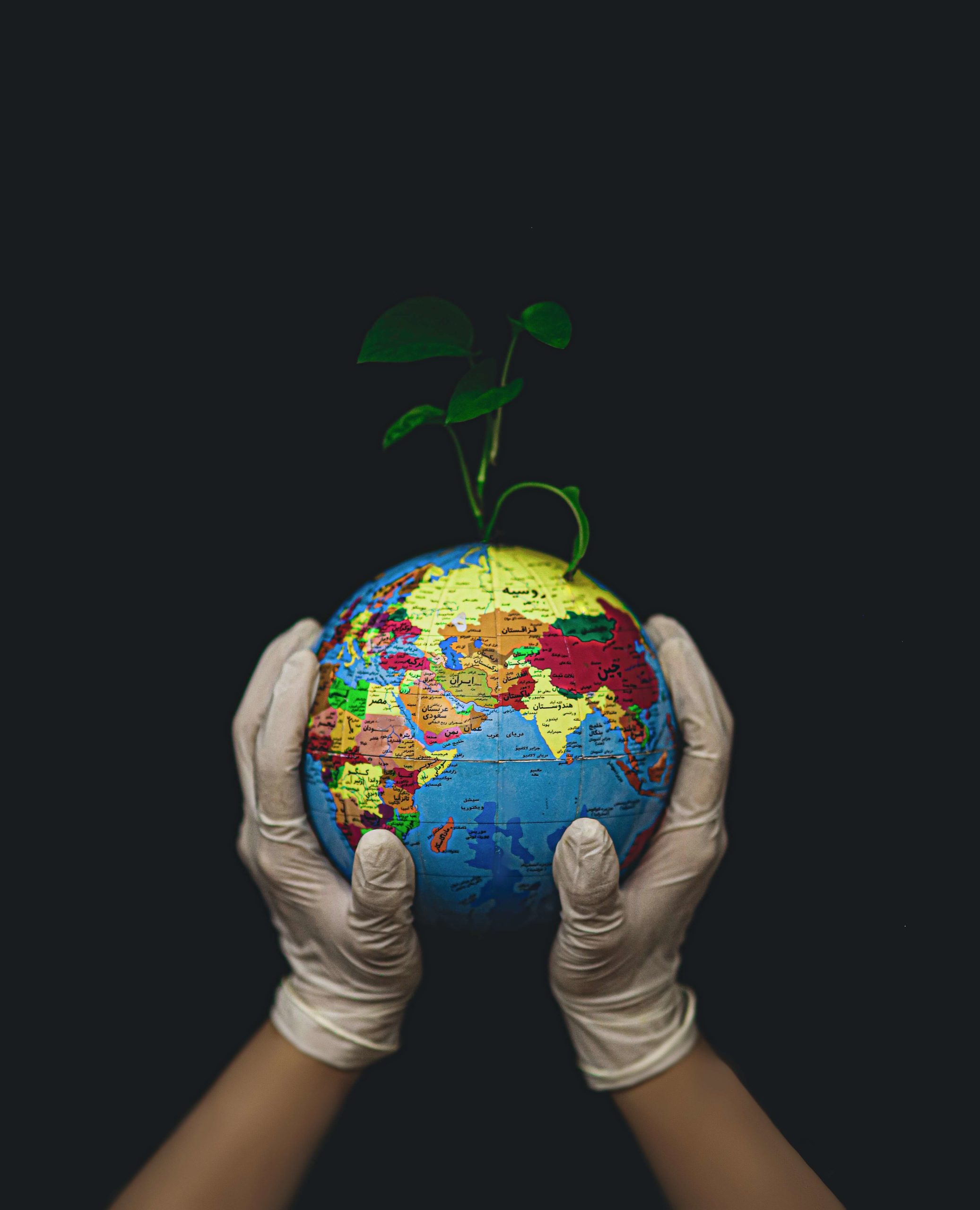 Earth Day Activities and Resources Toolkit