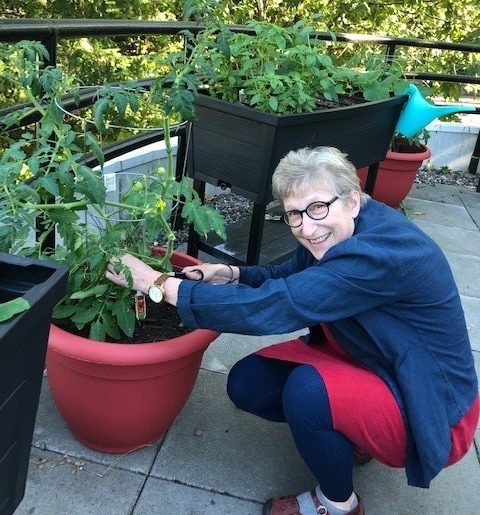 Celebrating Growth: A new food garden nourishes the Burnaby Hospital Redevelopment team